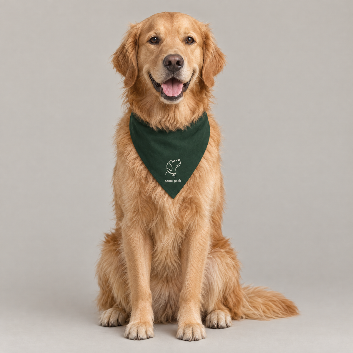 Golden retriever wearing The Pack Bandana in forest green